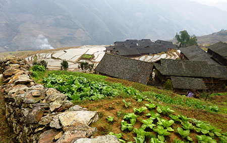 Dragons Backbone Rice Terraces, Village