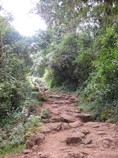 Day 1 The Path