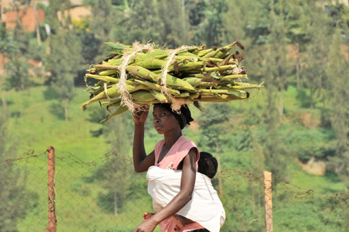 Local Africa woman seeing Africa by road