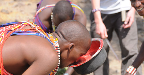 Maasai blood & Milk