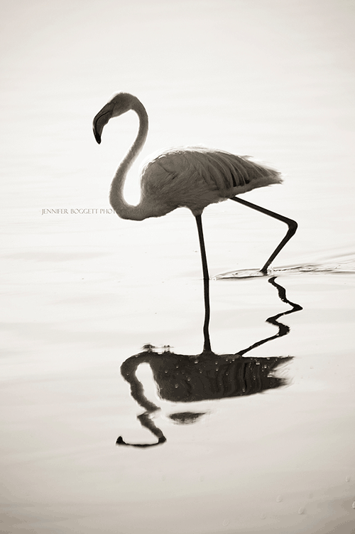 symmetry