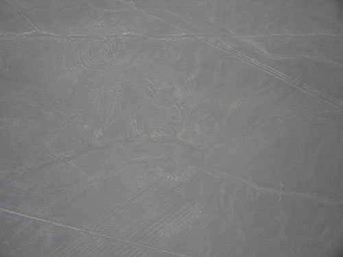 Nazca Lines Monkey Nazca Lines Monkey