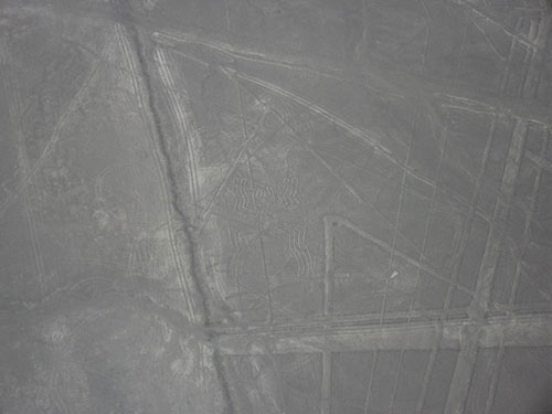 Nazca Lines Spider Nazca Lines Spider