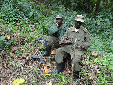 The Rangers on the Gorilla Trek The Rangers on the Gorilla Trek