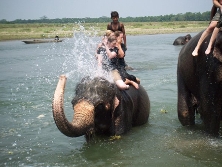 Washing elephants in Chitwan National Park