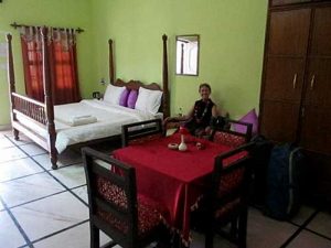 The hotel in Basari The hotel in Basari
