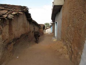 The mud houses of Basari The mud houses of Basari