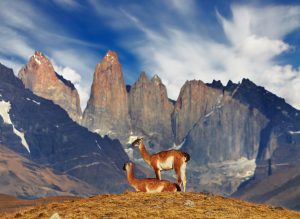 Torres del Paine Torres del Paine