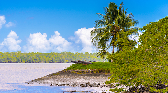 suriname river