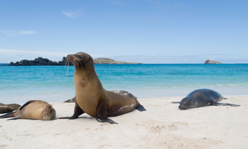 Galapagos Islands 