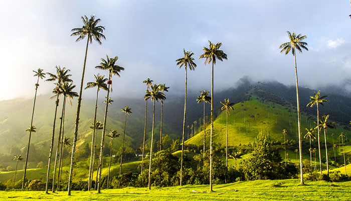 salento in colombia, one of the best places to visit in february