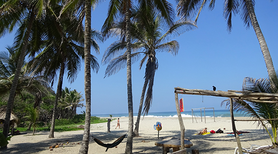 Our-Palomino-Resort