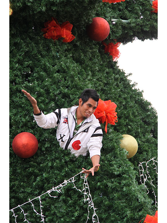 A local decorating a very large Christmas tree in San Cristobal