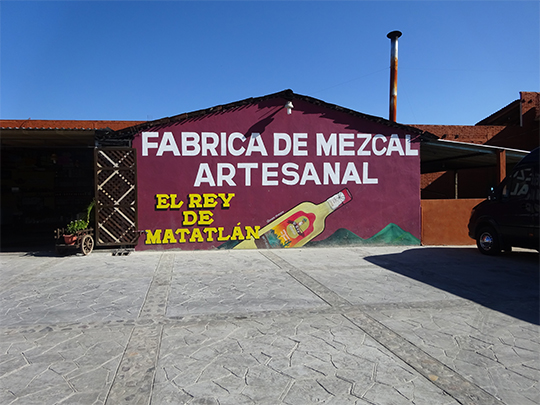 Visiting a Mezcal factory
