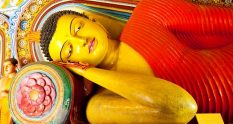 Visit to Sri Lanka | Reclining Buddha