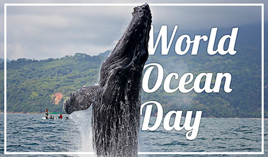 world ocean day