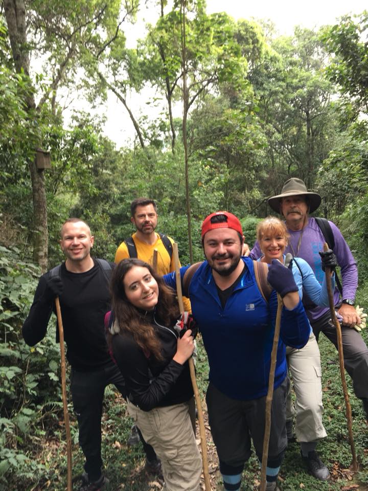 the group trekking to find gorillas