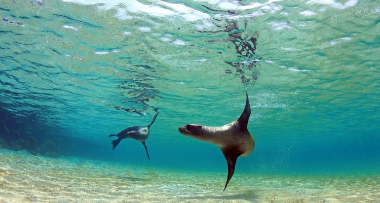 galapagos islands