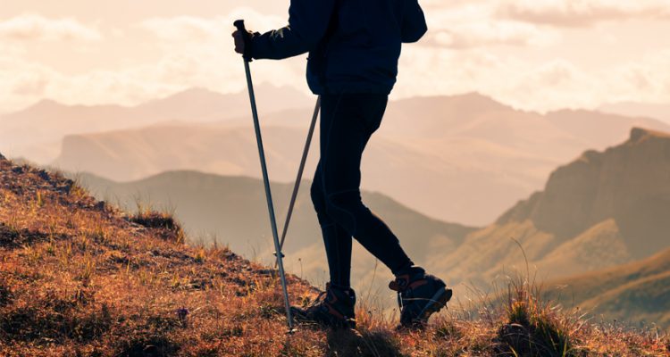 hiking tours