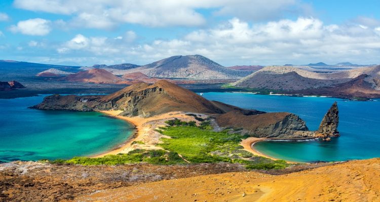 The Galapagos Islands