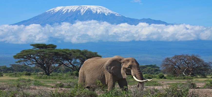 Kenya, Africa, Trekking Kilimanjaro, Hiking Kilimanjaro