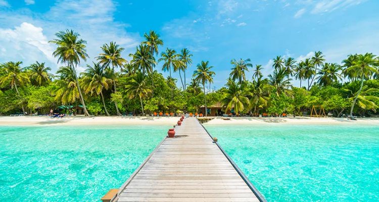 Looking down a wooden boardwalk towards the beach in Sri Lanka and the Maldives tour