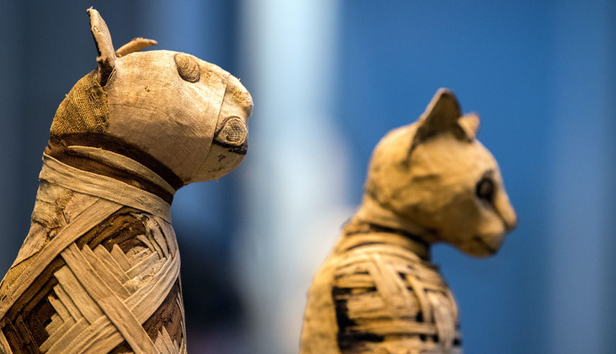 Egyptian Mummy