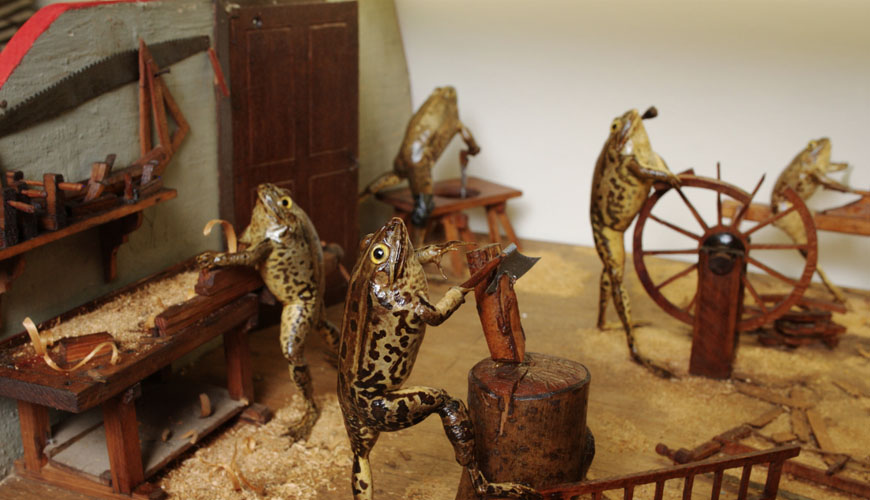 Froggy carpenters