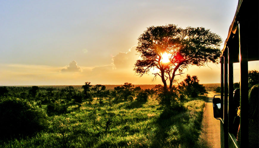 South African game drive as the sunsets over the savanna