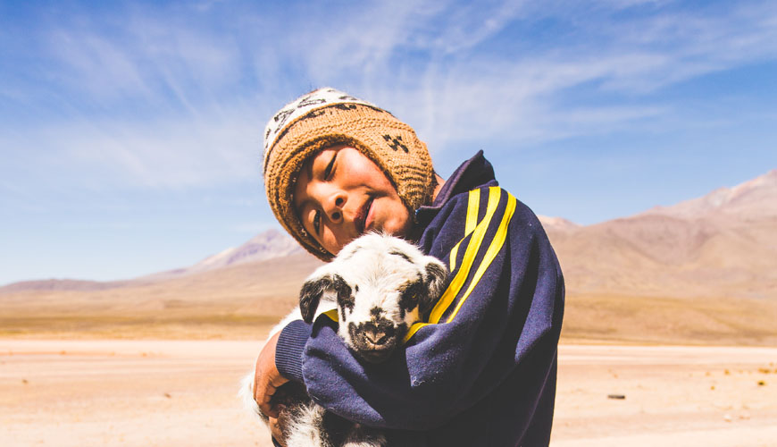 Peruvian boy with lamb