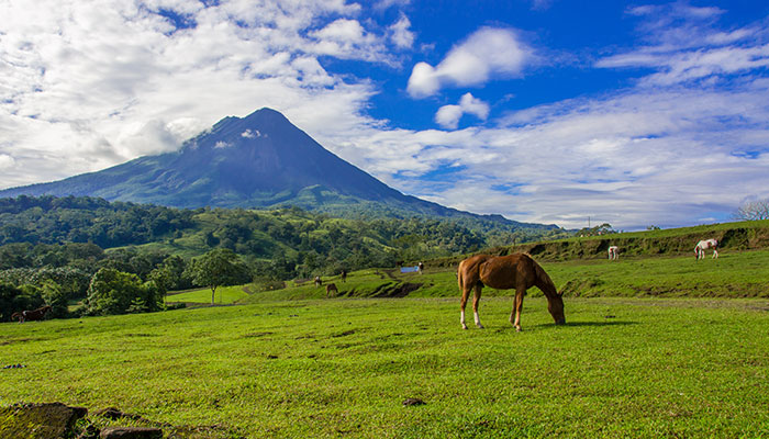Horse in Arenal, Costa Rica, one of the best places to go in march
