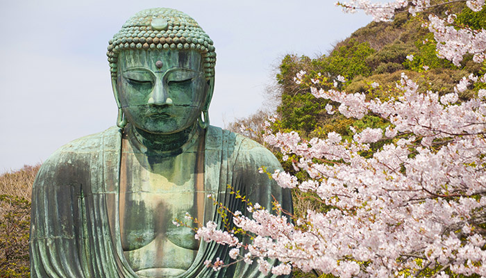 Japan in cherry blossom season, one of the best places to visit in April