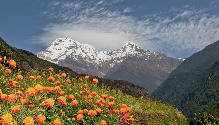 View of Himalayas whilst trekking the Annapurna Foothills in spring