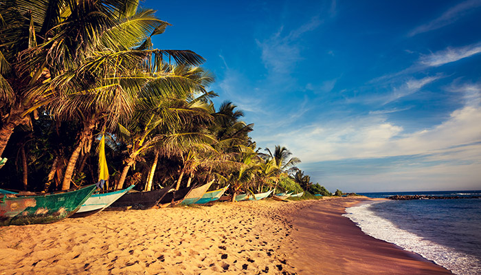 beautiful beach in Sri Lanka