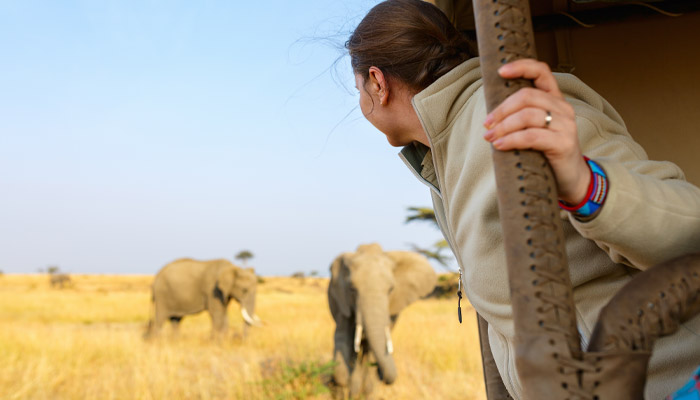 You must always respect the local wildlife when travelling