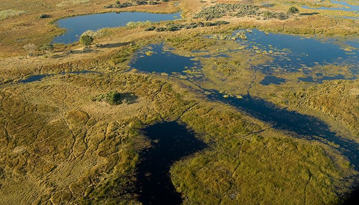The Okavango Delta in Botswana from above