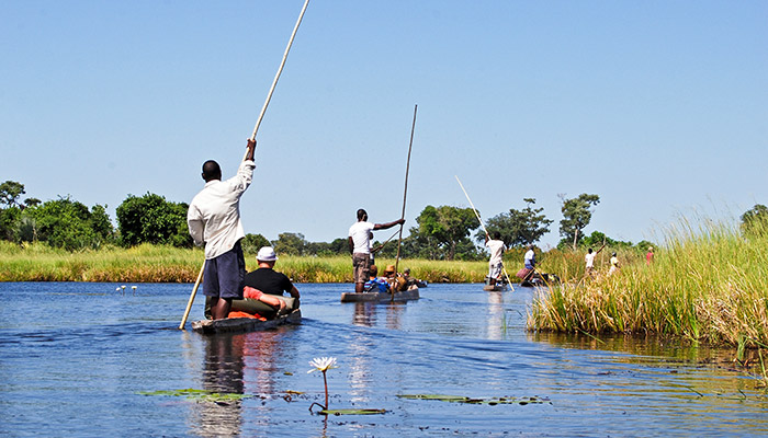 Excursion on Okavango Delta in Botwana