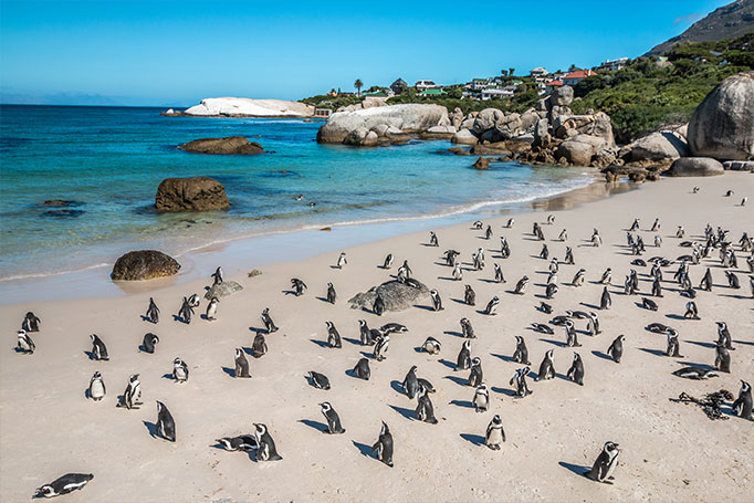 Boulders Bay