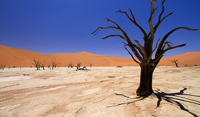 Sossusvlei in Namibia