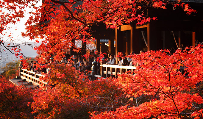 Autumn in Japan