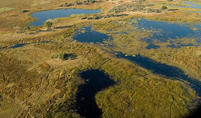 View of Okavango Delta from the air in Botswana