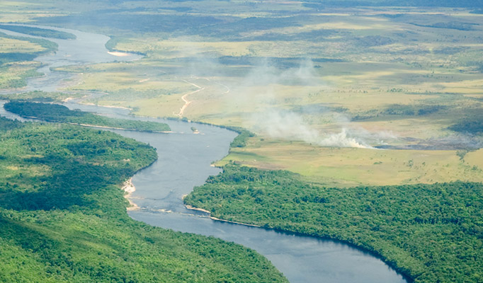 View over the amazon jungle, it's one of the best places to visit in August