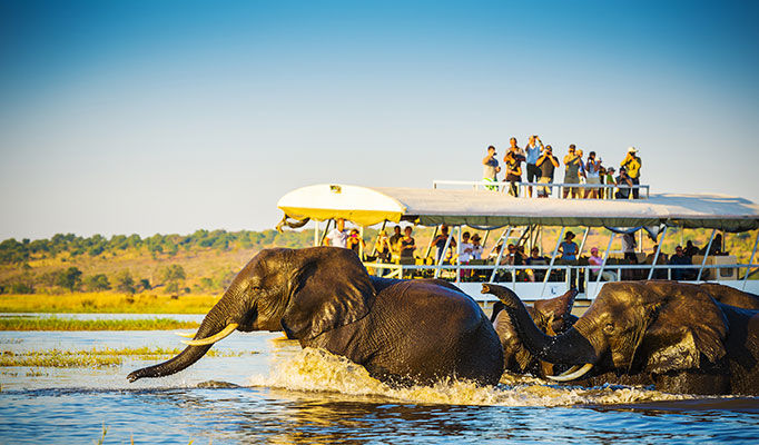 Elephants bathing inthe Chobe River in Botswana, one of the best places to visit in May