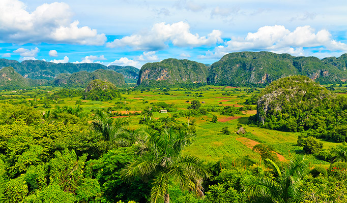 The tobacco farming region around Vinales in Cuba is one of the best places to go in January