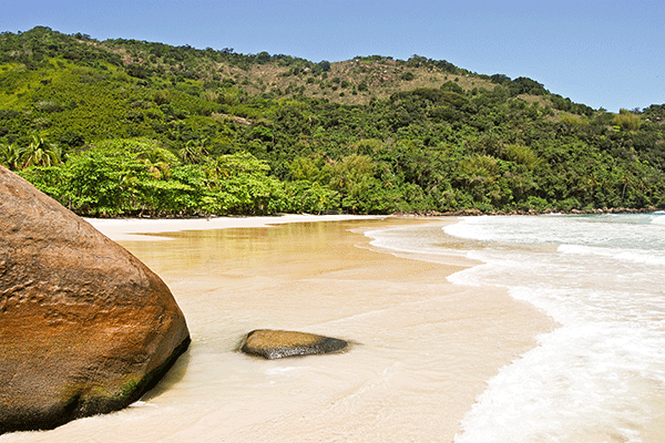 Lopez Mendes Beach, Ilha Grande green vegetation on a pristine beach in Brazil