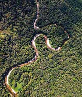 arial view of the amazon rainforest in brazil with the amazon river running through the middle
