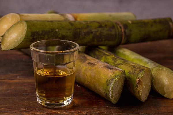Festival de Cachaca, Brazil sugar cane and cachaca for festival de cachaca