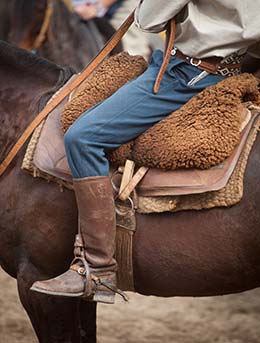 Festa do Peao, Brazil cowboys on horses for festa do peao cowboy festival in brazil