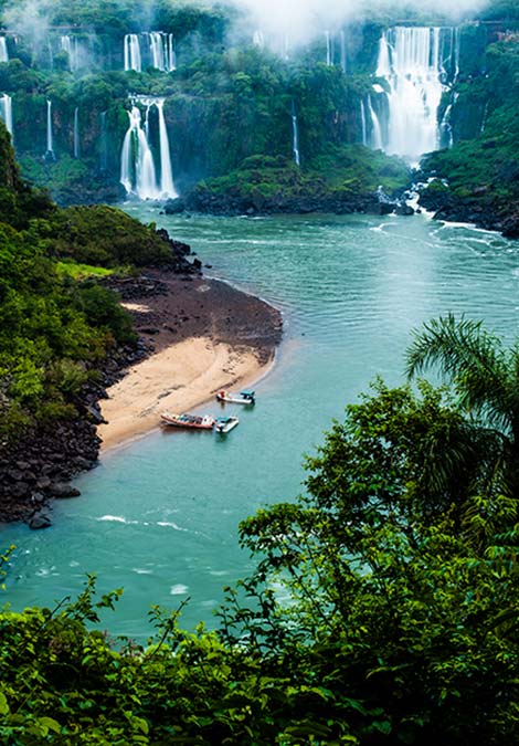 green forest around iguazu falls brazil