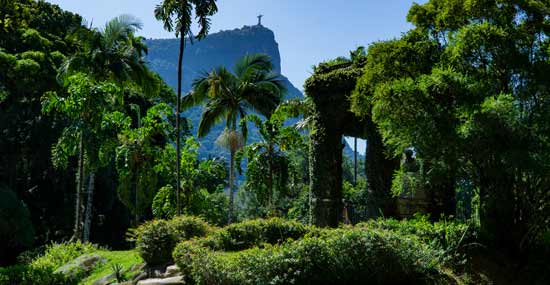 the beautiful botanical gardens of rio de janeiro city  are oe of the great attractions you can visit when you get free time to roam this location